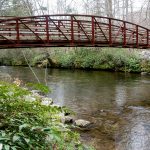 Trail Bridge Over Davidson River