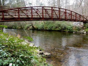 Trail Bridge Over Davidson River