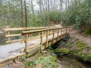 Estatoe Trail Bridge