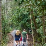 Family HIke on the Estatoe Trail