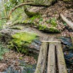 Log Bridge on North Slope