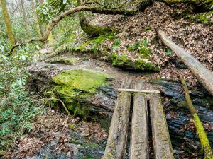 Log Bridge on North Slope