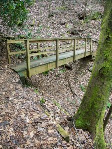 Bridge Over Gully on the North Slope Trail