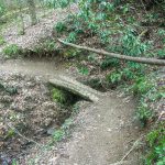 Log bridge on the North Slope trail.