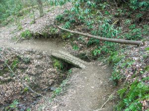 Log bridge on the North Slope trail.