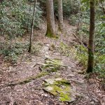 Rocky Section of North Slope Trail