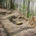 Rootball on the North Slope Trail