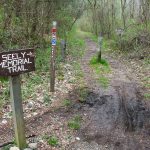 Seely Memorial and North Slope Trails