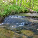 Small Cascade on Leek Creek