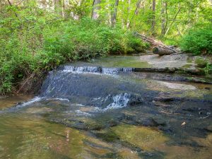 Small Cascade on Leek Creek