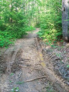 Muddy Trail