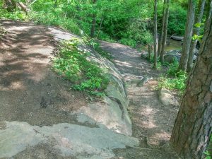 Switchback on Rock Outcrop