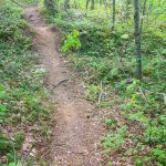 Trail over Dirt Mound