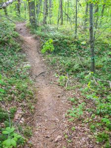 Trail over Dirt Mound