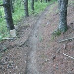 Alexander Mountain Bike Park WNCOutdoors.info