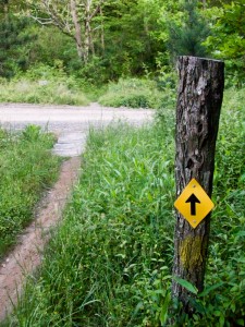 Alexander Mountain Bike Park