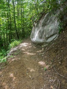 Boulder beside the Florence Preserve Access Trail