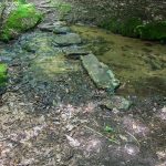 Creek Crossing on the Main Access Trail