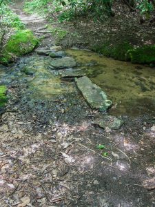 Creek Crossing on the Main Access Trail