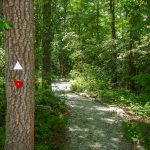 Bearwallow Valley Trail