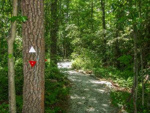 Bearwallow Valley Trail