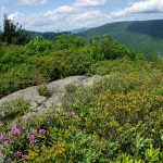 Mountains to Sea Trail at Lunch Rock