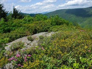 Mountains to Sea Trail at Lunch Rock