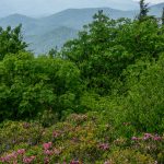 View West from the Mountains to Sea Trail