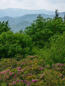 View West from the Mountains to Sea Trail