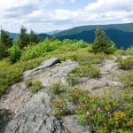 View from Lunch Rock