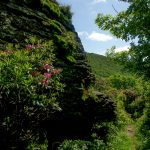 Rock Outcrop beside the Mountains to Sea Trail