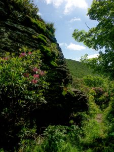 Rock Outcrop beside the Mountains to Sea Trail