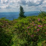 View West from Lunch Rock