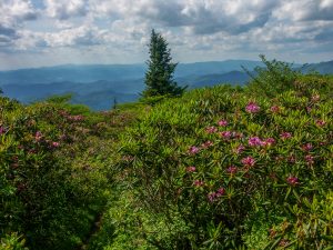 View West from Lunch Rock