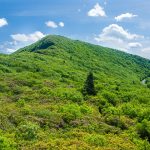 Bullhead Mountain from the Mountains to Sea Trail