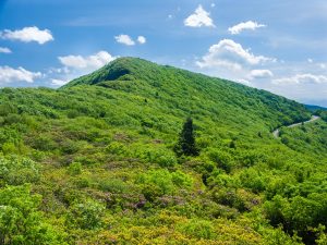 Bullhead Mountain from the Mountains to Sea Trail