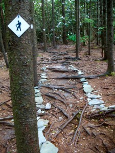 Grandfather Mountain State Park