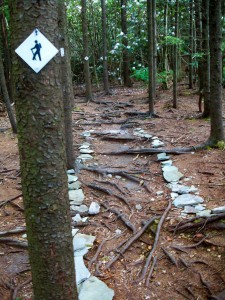 Grandfather Mountain State Park