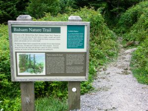 Balsam Nature Trail Sign