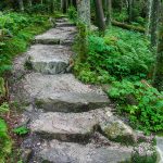 Black Mountains Crest Trail Steps