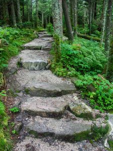 Black Mountains Crest Trail Steps