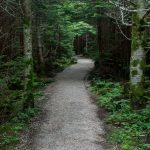 Black Mountains Crest Trail Start