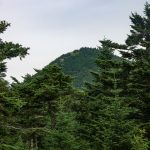 View of Mount Craig from the Black Mountains Crest trail.