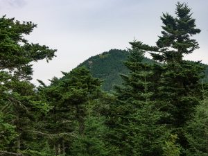 View of Mount Craig from the Black Mountains Crest trail.