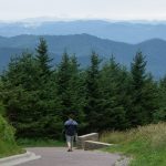 Mount Mitchell Summit Path