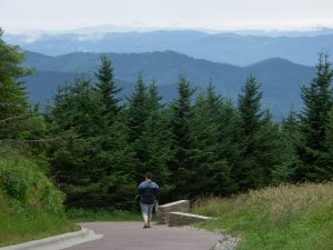 Mount Mitchell Summit Path