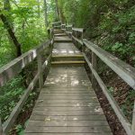 Four Seasons Trail Boardwalk