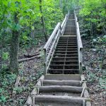 Four Seasons Trail Steps