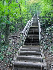 Four Seasons Trail Steps