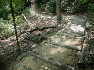 Four Seasons Trail Curve